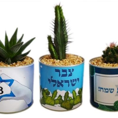 עציץ בפחית - צבר ישראלי