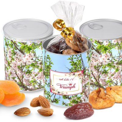 פירות יבשים בפחית ממותגת
