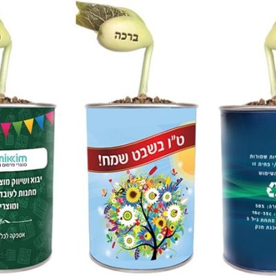 שעועית הפלא בפחית ממותגת | עציץ לגידול עצמי עם לוגו