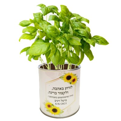 עציץ בפחית לחתונה - מזכרת צומחת ואישית לאורחים